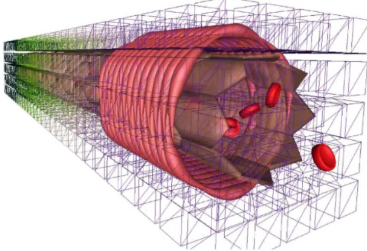 Fig. 1. In Virtuo simulation of endothelium using a MIS.