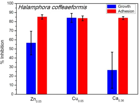 Fig. 1. Growth and adhesion inhibition to H. coffeaeformis by zinc, copper and calcium alginate  gels