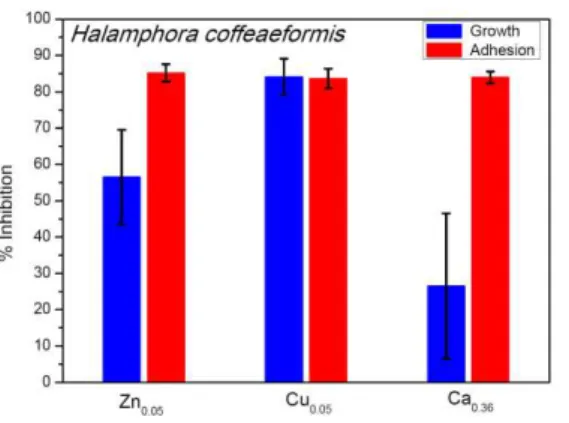 Fig. 1. Growth and adhesion inhibition to H. coffeaeformis by zinc, copper and calcium alginate  gels