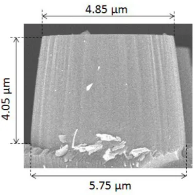 Figure 1: Micro-pillar geometry before compression