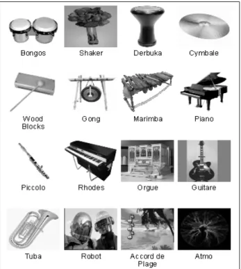 Fig 2 : Page « Wii » du catalogue des instruments