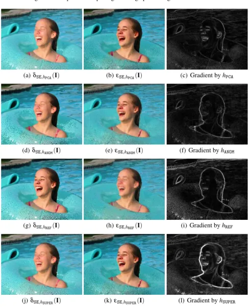 Fig. 5 Comparison of colour dilation, erosion and associated gradient using different h-orderings (see Table 1)