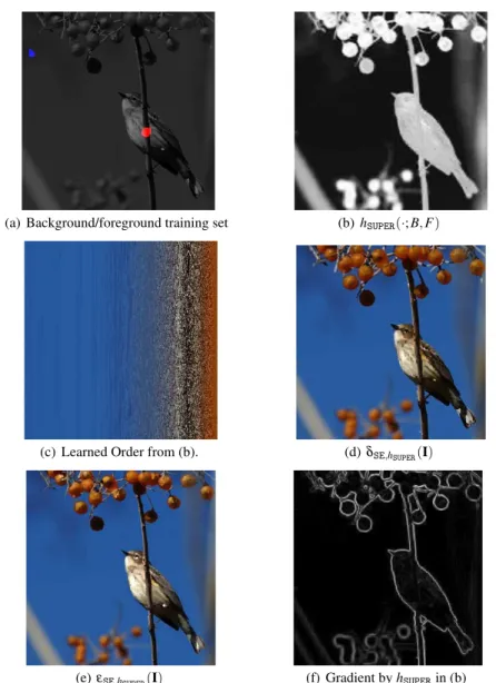 Fig. 6 Background pixels are in blue, and foreground ones in red. The minimum in the supervised ordering is placed at the top left corner and the maximum at the bottom right corner