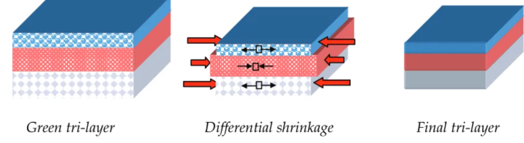Fig. 9. Schematic of the compensation of the deformation during sintering across a tri-layer  The compensation of the deformation by the third layer may be very difficult to evaluate since it  results from several mechanisms acting at different steps of th