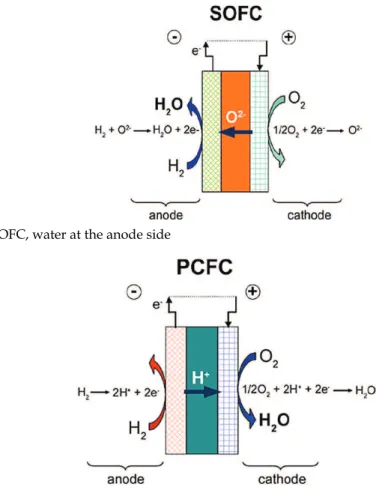 Fig. 1. SOFC, water at the anode side 