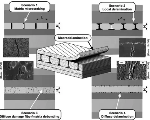 Fig. 6 The mechanisms of degradation on the micro-scale [24]