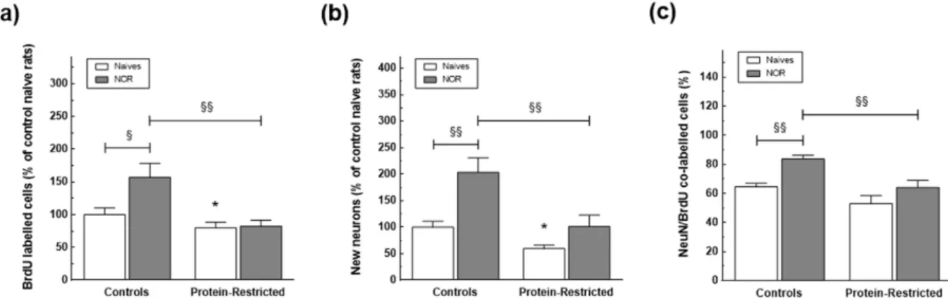 Figure 6.  Impact of early protein-restriction on neurogenesis in response to learning