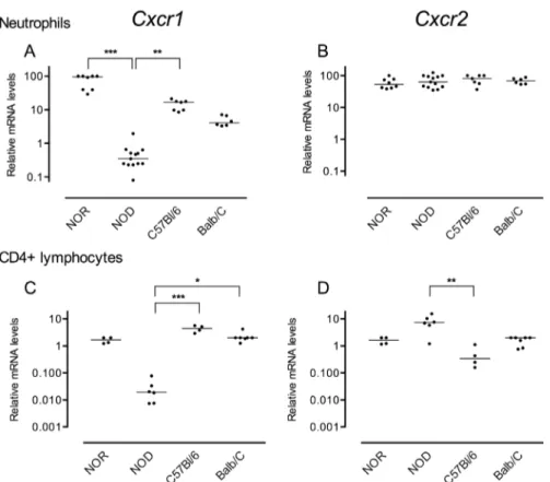 Fig 1. Cxcr1 (A and C) and Cxcr2 (B and D) mRNA levels in mouse neutrophils (A and B) and CD4 + lymphocytes (C and D)