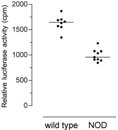 Fig 4. Relative Luciferase activity of wild-type and NOD promoters. The promoter region delineated by FP and RP primers (as shown in Fig 2) was used