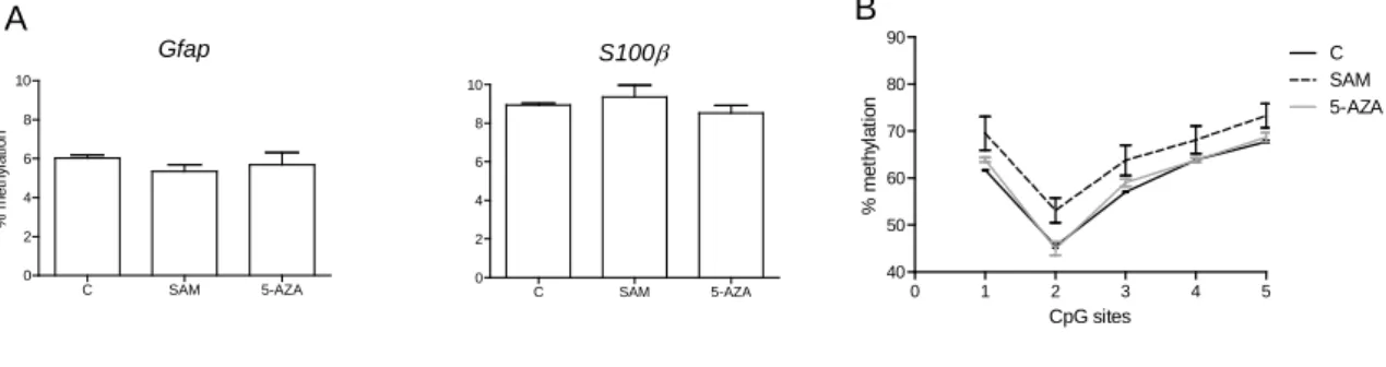 Figure 8. DNA methylation analysis of the Gfap and S100 β  genes in cultured NPCs treated  with SAM and 5-AZA