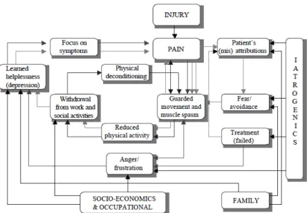 Figure  2 :  Modèle  explicative  illustrant  l’influence  du  biomédical,  du  psychologique,  du  psychosociale, du socio-économique et des facteurs iatrogènes
