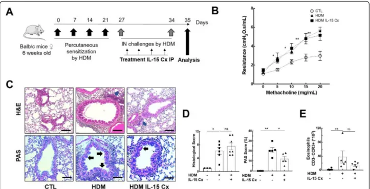 Fig. 4 Asthma features are not improved by IL-15 complex. a Murine model of acute allergic asthma