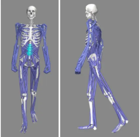 Fig. 3. Normal walking