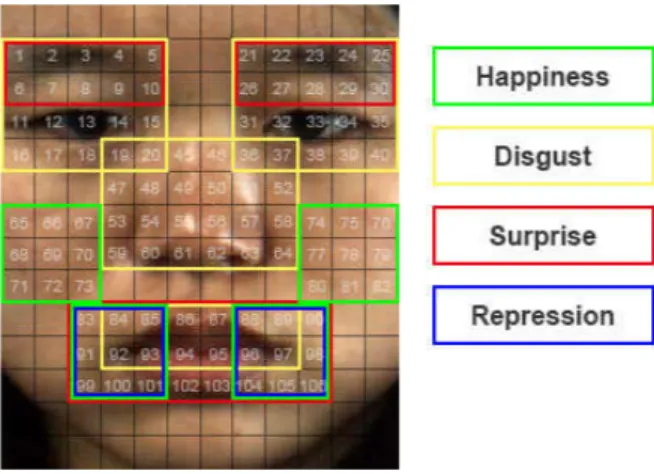 Fig. 2. Illustration of the active patches with AU annotations.