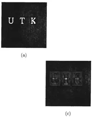 FIG. 2.4. Résultat de la corrélation entre deux images. (a) Image. (b) Élément structurant fimagette)