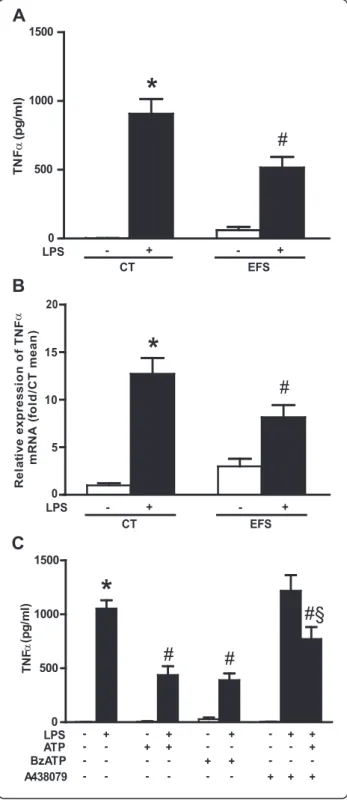 Figure 2 ENS activation in rat primary cultures inhibits the LPS-induced increase in TNF- α transcript and protein levels.