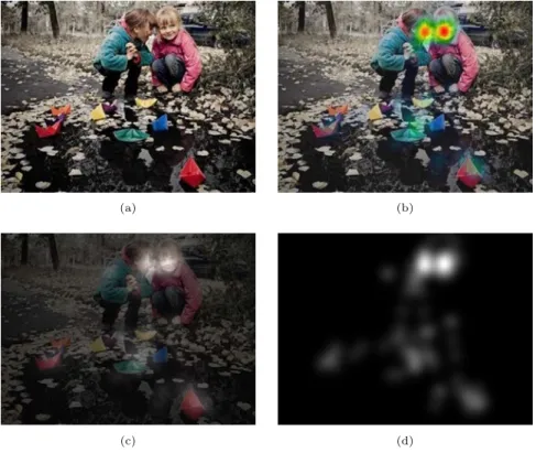 Figure 3.4: Illustration of fixation maps created from eye movement patterns. (a) Original stimulus.