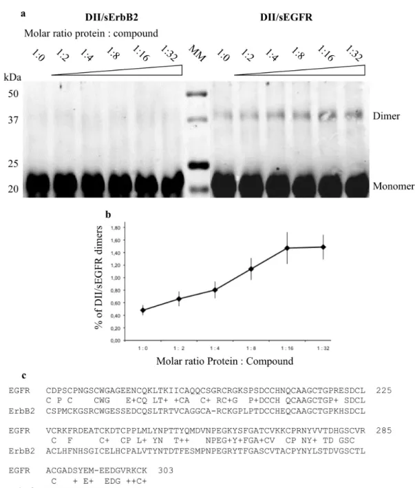 Figure 7 | Compound NSC 228155 stimulates in vitro dimerization of sEGFR domain II and not that of sErbB2