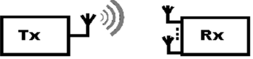 Figure 2.2. SIMO - Single Input Multiple Output