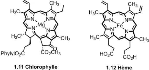 Figure 1.2 Structures de la chlorophylle 1.11 et de l’hème 1.12 
