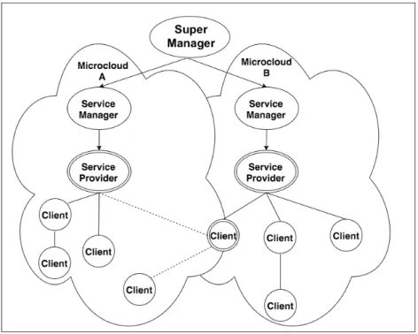 Figure 3.3: Schema of the roles in a microcloud