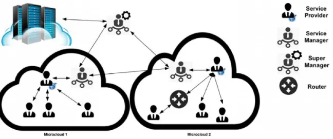 Figure 3.4: Representation of a microcloud from a platform level