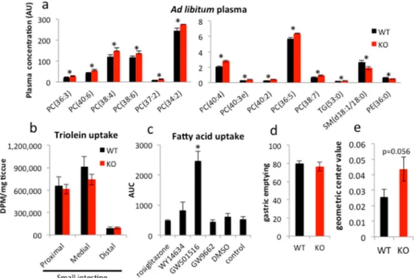 Figure 1. PPARγ does not affect lipid uptake, but regulates intestinal transit. (a) Blood was collected from mice fed ad libitum and plasma lipid composition analyzed (n = 5)