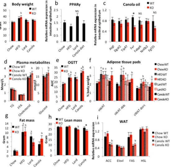 Figure 2. Long-term exposure to canola oil triggers mild body composition changes in iePPARγKO vs