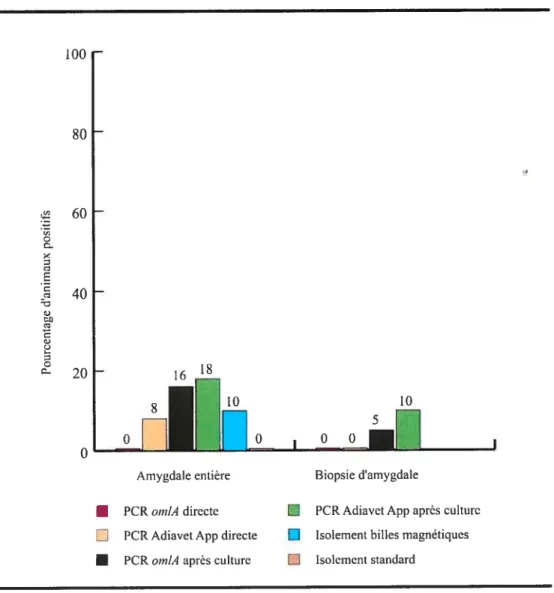 Figure 7. Pourcentage d’animaux porteurs d’A. pletovpnettinoniae détectés dans le groupe 5 (N=39) par les différents techniques utilisées dans cette étude à partir d’amygdales entières récoltées à l’abattoir et de biopsies prélevées chez l’animal vivant