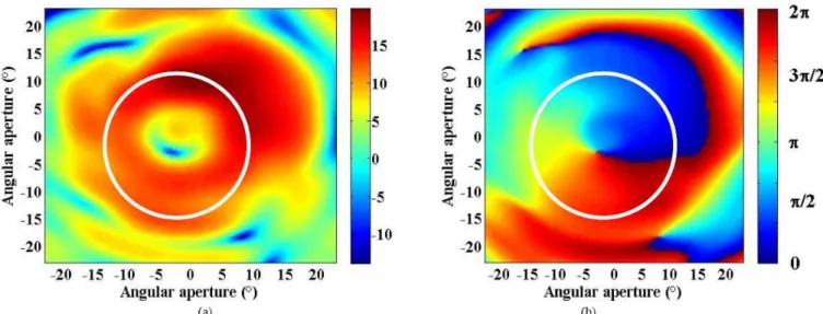 Figure 4.  Farfield in front of the flat phase plate as obtained by numerical simulations