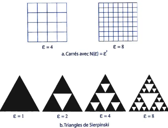 FIG. 2. Exemples de différents types de objets fractals simples : a.