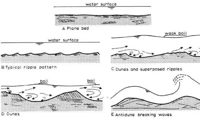 Figure I- 3 La morphologie d’un lit sous un écoulement continu (D’après : Engelund et Fredsøe [1982])