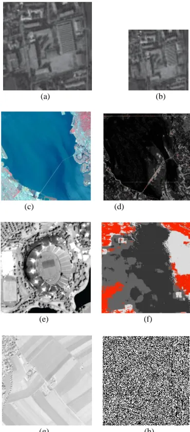Figure  2.8  Typical  examples  of  artifacts:  (a)  and  (b)  Change  of  texture  by  aliasing  after  processing