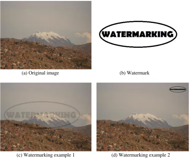 Figure 3.3: Some examples of visible watermarking. Figure (a) shows the original image, in  Figure (b) we can see the watermark, Figure (c) shows an example of watermarking in the  complete image and in Figure (d) we can see a watermarking in some part of 