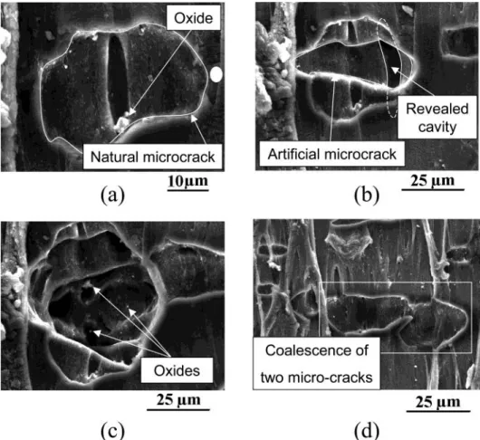 Figure 7 summarizes this second experiment. To observe cavities in the sample, it is cut in its undeformed configuration, as shown in Figure 7a