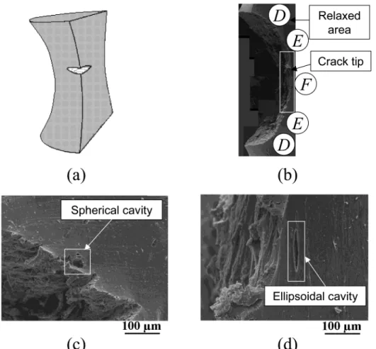 Figure 7. Second experiment: (a) cut sample, (b) global view of the crack, (c) details of relaxed areas, (d) details of the crack tip.