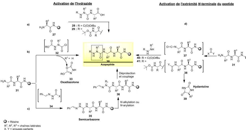 Figure  1.14.  Méthodes  possibles  pour  la  synthèse  d’azapeptides  connues  (a,  b,  et  d)  et  développées  dans  le  contexte  de  mon  doctorat (c)