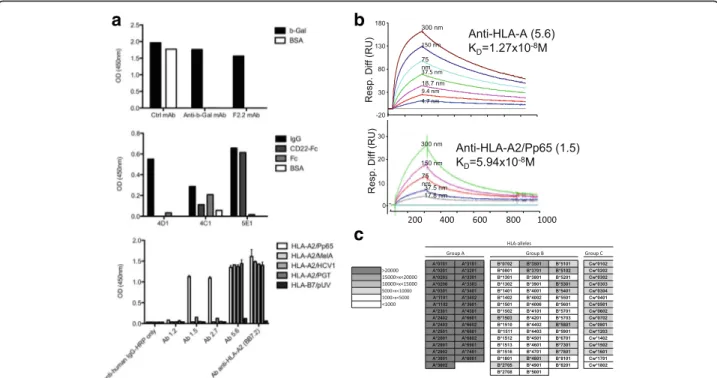 Fig. 5 Specificity and affinity of mAbs generated from human immunoglobulin transgenic rats single B cells