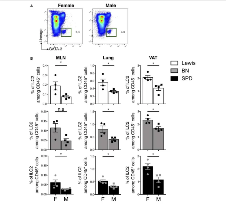 FIGURE 7 | Sex-effect on ILC2 proportions in MLN, lung and VAT of rats. (A) Representative plots of Lin − GATA-3 + (Pregated on live CD45 + cells) ILC2 in the lung of SPD female vs