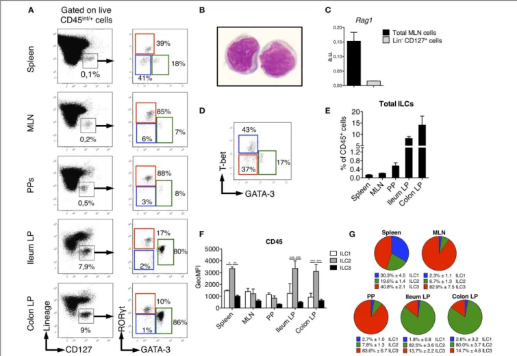 FIGURE 1 | Identification of ILC subsets in SPD Rats. To characterize ILC subsets in lymphoid and gut-associated tissues, cells were isolated from mesenteric lymph nodes (MLN), Peyer’s patches (PP), ileum and colon LP of SPD rats