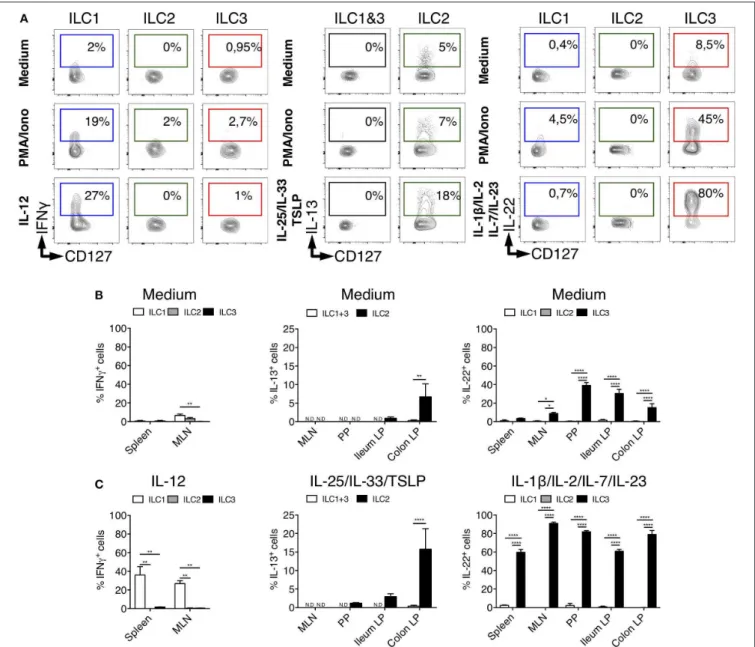 FIGURE 3 | Tissues quantification of cytokine production by ILC subsets in rats. (A) Representative intracellular staining for IFNγ (in spleen from LEW rats), IL-22 and IL-13 (in Colon LP from SPD rats) in ILC subsets as defined in Figure 1A after 4 h of c