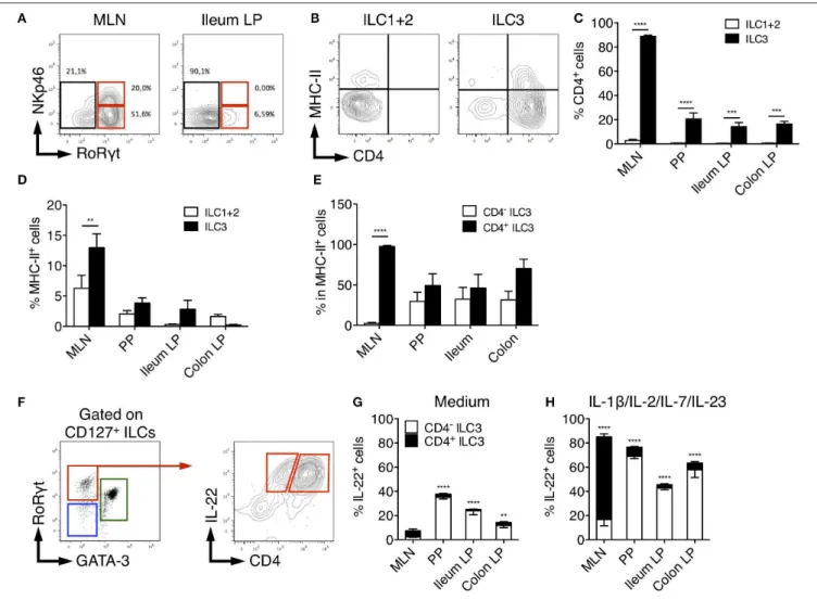 FIGURE 4 | Characterization of rat ILC3 subsets. (A) Representative flow cytometry plots showing NKp46 and RORγt expression among total ILC cells isolated from the MLN and ileum LP of SPD rat (B) Representative flow cytometry plots showing CD4 and MHC-II e