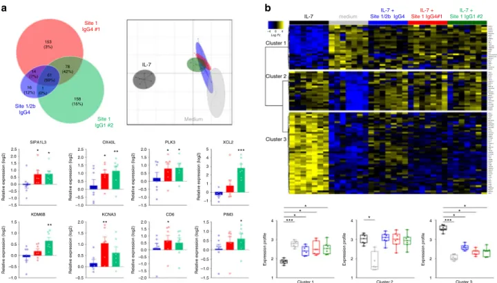 Fig. 4 Dual agonist/antagonist (site-1) anti-IL-7R α mAbs induce transcriptional modi ﬁ cation and activation of human leukocytes