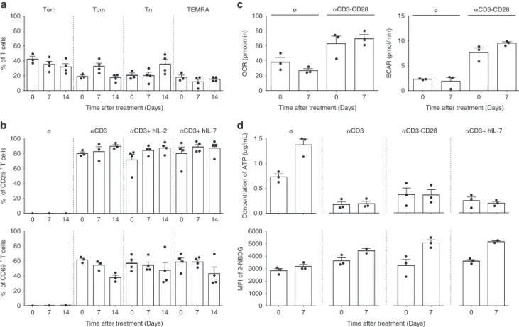 Fig. 7 Antagonist anti-IL-7R α mAb does not disturb polyclonal T-cell activation or modify metabolism