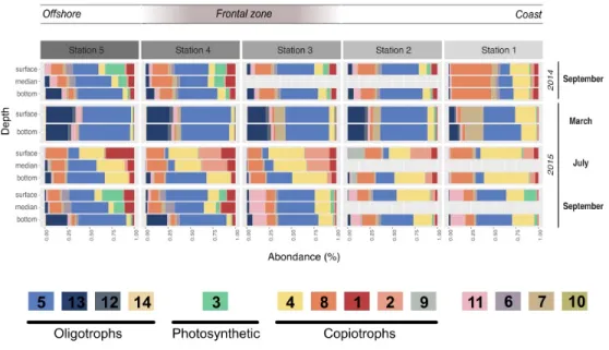 Figure 3 | Module dynamics across the different campaigns, stations and depths   509 