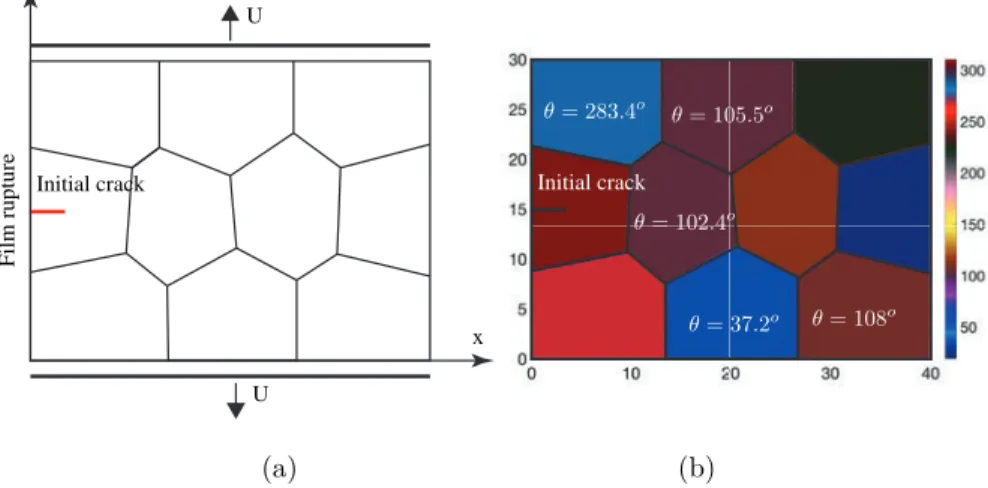 Fig. 3: Geometry and boundary conditions for the polycrystalline structure containing 10 grains: (a) grain boundary and loading description; (b) description of crystals with angle of the direction of anisotropy.