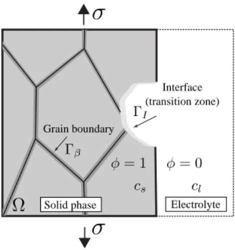 Fig. 1: 2D representation of a typical corroding system due to the anodic dissolution of a polycrystalline body