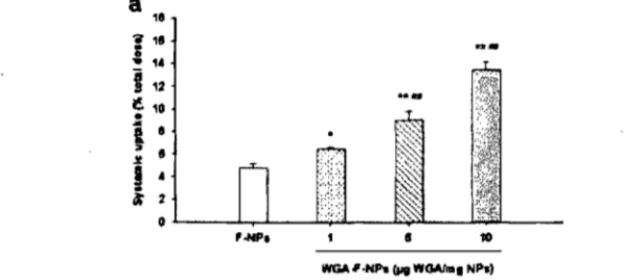 Figure  1.8.  Absorption  de  particules  de  PLGA  nues  (F-NP)  ou  ciblées  à  l'aide  de  WGA  (WGA-F-NPs)