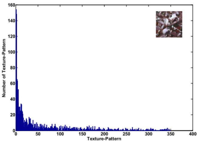 Fig. 5. Histogram of selected Texture-Pattern