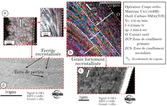 Figure 1.8 – Analyses MEB et EBSD des zones de déformation intenses d’un copeau en C45 ; a) Micrographie Optique ; b) Carte EBSD (angles d’Euler) de la ZCS et c) Cliché MEB HD montrant la structure recristallisée ; d) Cliché MEB de la ZCP [Courbon 2012]